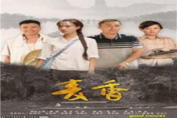 《律政新人王》律政新人王的热血法庭故事情