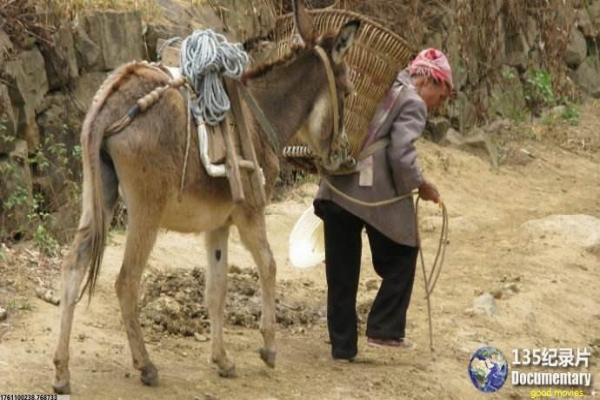 《安妮·霍尔》影片详细,安妮·霍尔爱情的