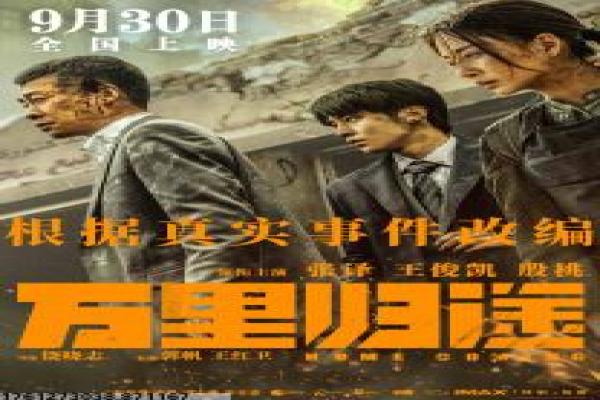 《妻子的秘密》婚姻背后的隐秘真相,剖析信