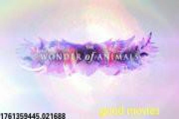 鬼影在线观看-鬼影的灵异复仇,深度解析泰