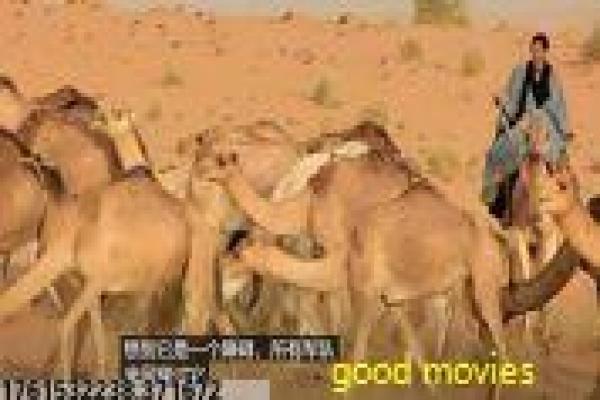 《舞会之后》舞会浪漫之后的浪漫故事情节完