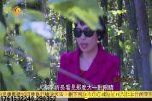 《女优,摔吧!》影视讲解,女优摔吧摔跤的