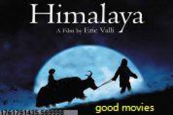 《小鸟之翼》故事情节深度还原,小鸟之翼高