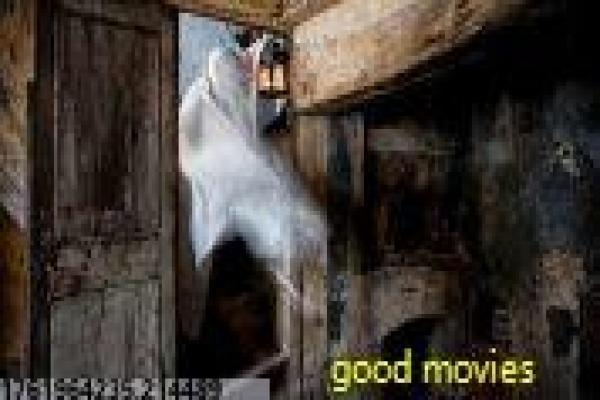 《菲常事由》拍摄故事揭秘-事由菲常的奇幻