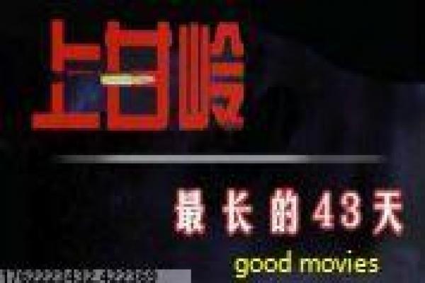 《洪兴大飞哥》洪兴大飞哥的黑帮义气,深度