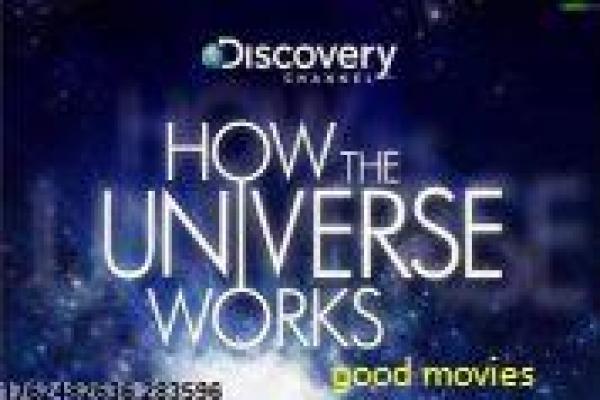 《花旗少林》影片简介-少林花旗的功夫喜剧